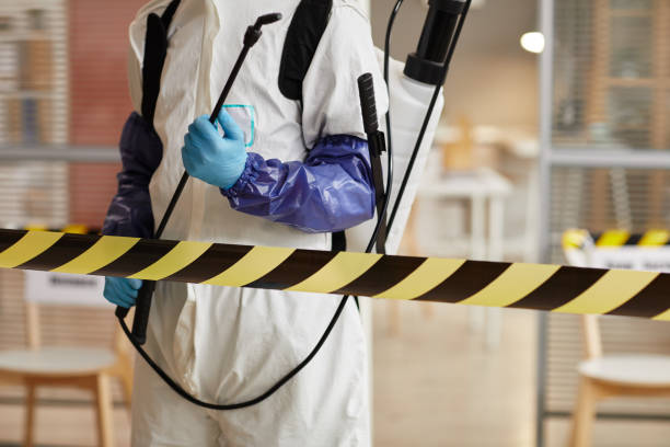 Professional Sewage Cleanup technician working in Mason City, IA